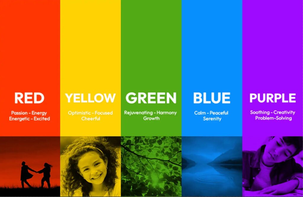 interior house paint colors - Vibrant Vistas: Navigating the Spectrum of Interior House Paint Colors in India color psychology