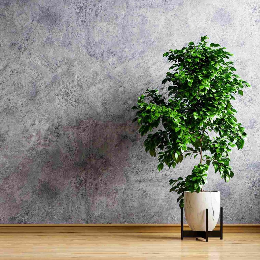 Wall texture designs