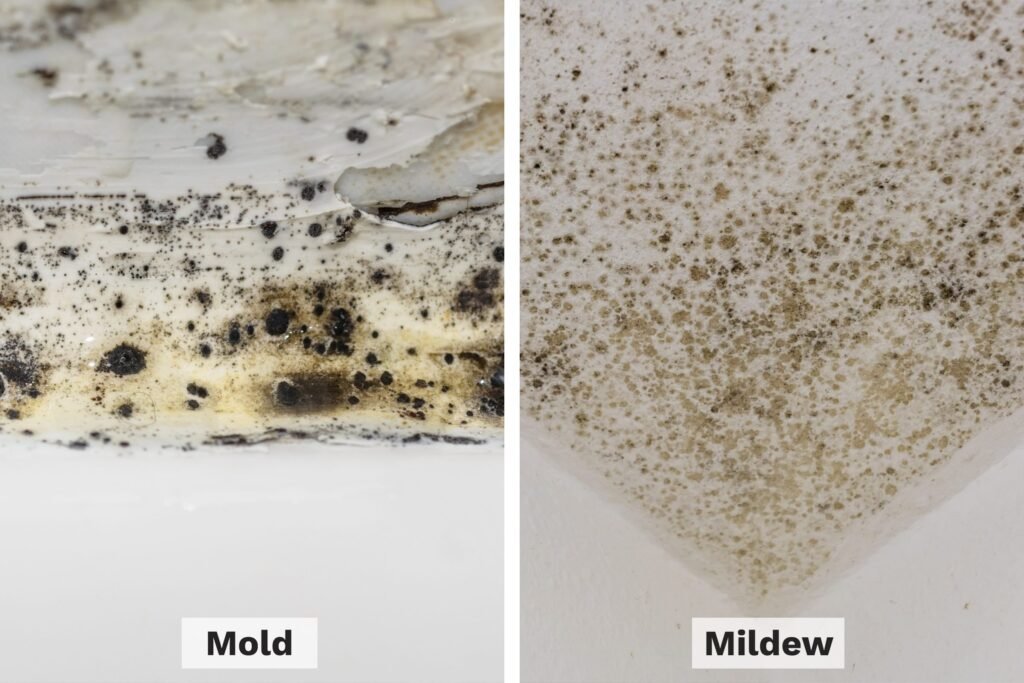 bathroom waterproofing - When Do I Require Bathroom Waterproofing Services? Unveiling the Signs and Solutions for a Watertight Haven Mold and Mildew
