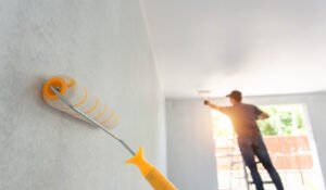 professional painting contractors in Hyderabad