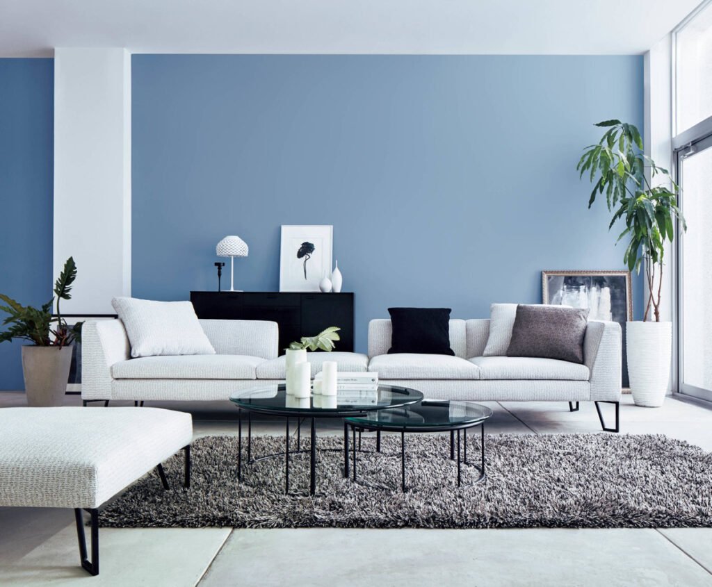 color combination for living room - Color Combination for Living Room as per Vastu Shastra: EnhancingHarmony and Positivity Soothing blue living room color combination