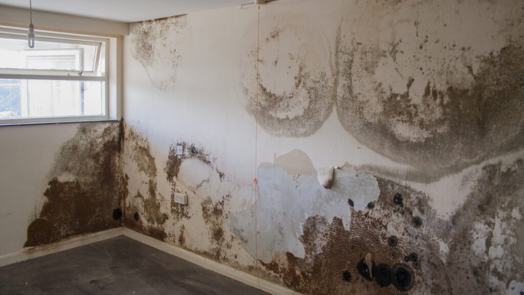 wall dampness - Mastering the Art of Home Care: Detecting and Fixing Wall Dampness Like a Pro with Expert Waterproofing wall dampness