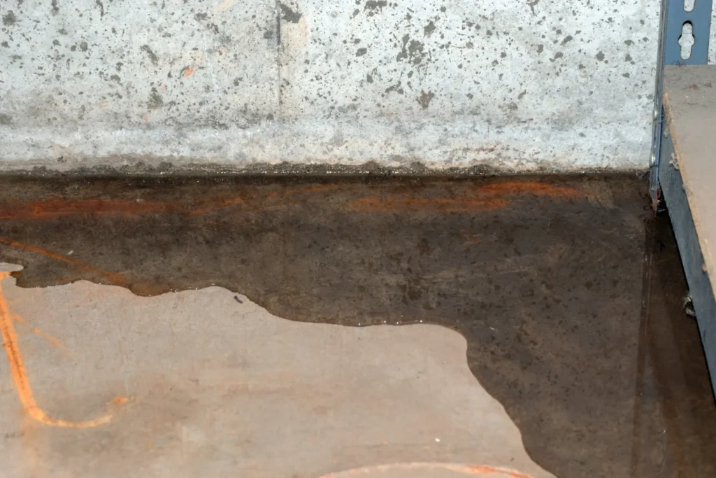 water intrusion - Exterior Waterproofing